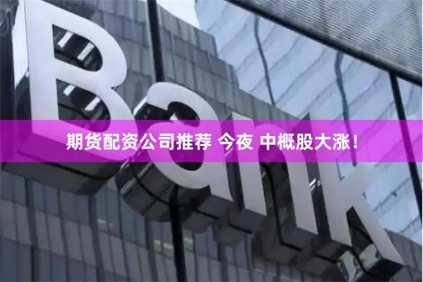 期货配资公司推荐 今夜 中概股大涨！